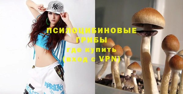 гашик Новокубанск