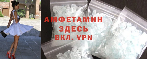 индика Осинники