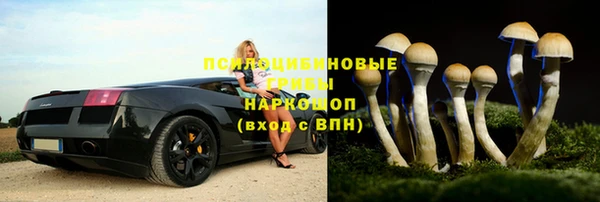 apvp Володарск