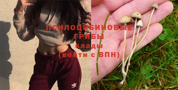 гашишное масло Волосово