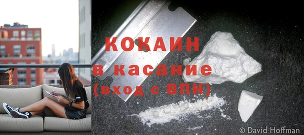 гидра Верхний Тагил